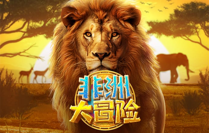 k体育官网登录